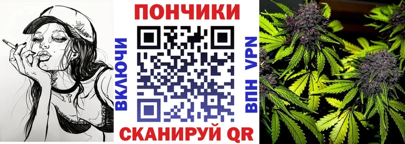 Бошки Шишки планчик  Лакинск 